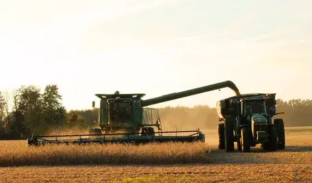 harvest-1825170_1280.webp