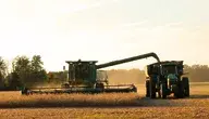 harvest-1825170_1280.webp