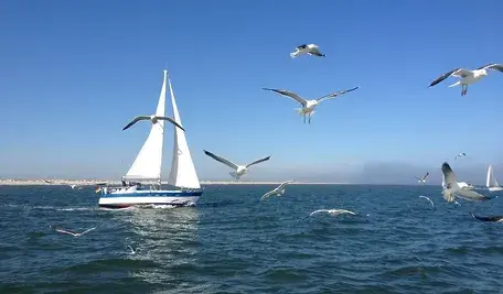 sailboat-249992_1280_cropped.webp
