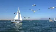sailboat-249992_1280_cropped.webp