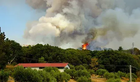 fire-2740784_1280.webp