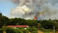 fire-2740784_1280.webp