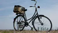 dutch-4660106_1280.webp