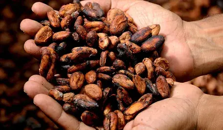 hands-2430200_1280.webp