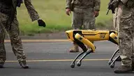 Spot_robot_Royal_Air_Force.webp