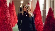 White_House_Christmas_2018_(46060476411).webp