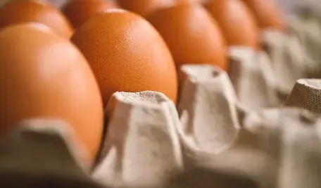 egg-7345934_1280.webp
