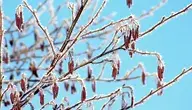 winter-3943765_1280.webp