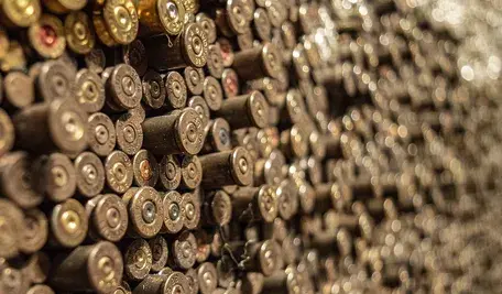 bullets-4564768_1280.webp