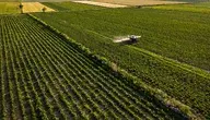 agriculture-6502282_1280.webp
