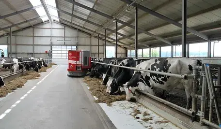 dairy-farm-2811887_1280.webp