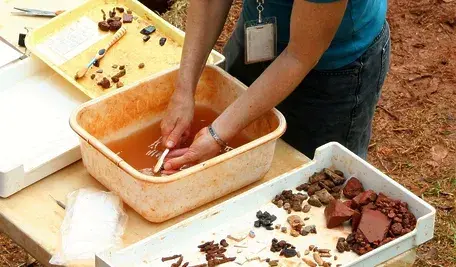 archaeology-59167_1280.webp