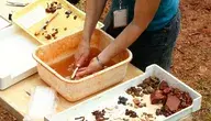 archaeology-59167_1280.webp