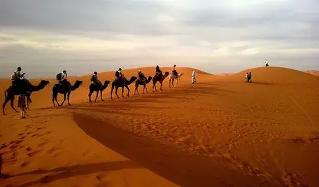 caravan-339564_1280.webp