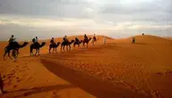 caravan-339564_1280.webp
