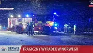 norwegiia.webp