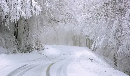 road-4730553_1280 (1).webp