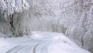 road-4730553_1280 (1).webp