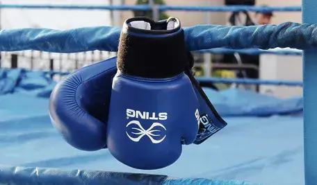 boxing-2822129_1280.webp