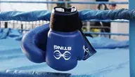 boxing-2822129_1280.webp