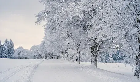 snow-7646952_1280.webp