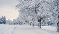 snow-7646952_1280.webp