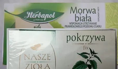 pokrzywa_morwa.webp