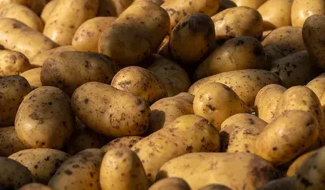 potatoes-6980000_1280.webp
