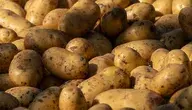potatoes-6980000_1280.webp