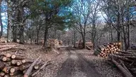 wood-1921822_1280.webp