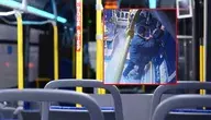 bus-1263266_2).webp
