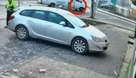 videoframe_15821.webp