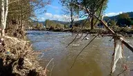 20241012_102326.webp