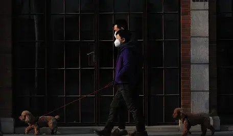 mask-4930050_1280.webp