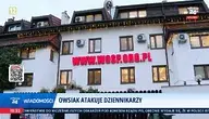 1805018_3.webp