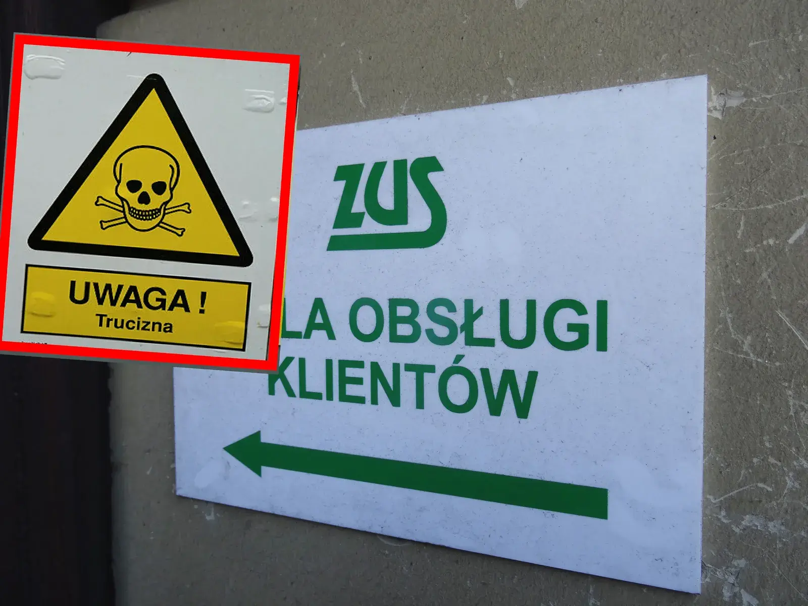 Gigantyczna afera w ZUS. Cztery urzędniczki podejrzewane o próbę otrucia współpracownicy