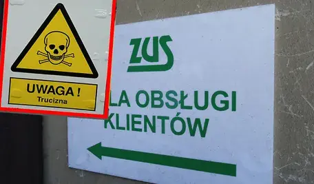 zus trucizna.webp