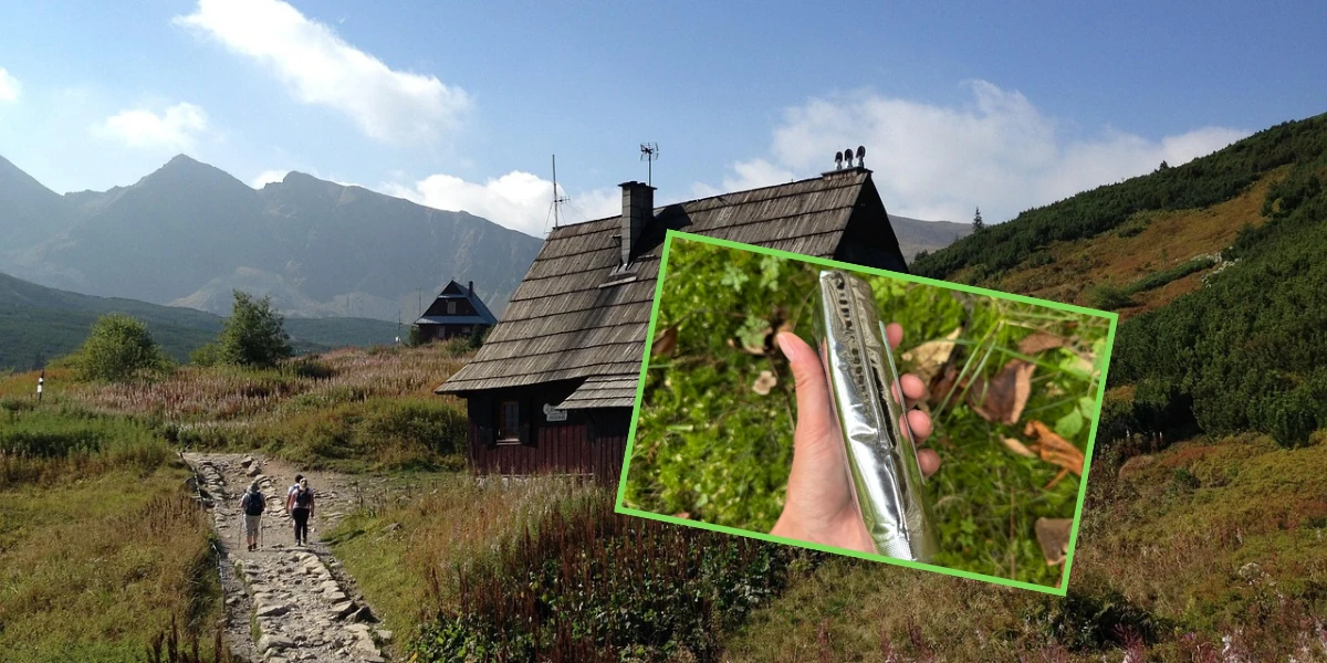 Nowy obowiązek dla turystów w Tatrach! Park Narodowy mówi dość dzikim toaletom