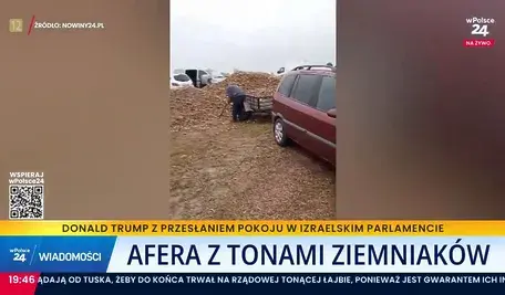 Ziemniaki zbierane z pola w Dąbrownicy na Podkarpaciu. To jednak nie samozbiory a fatalna pomyłka. 