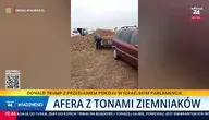 Ziemniaki zbierane z pola w Dąbrownicy na Podkarpaciu. To jednak nie samozbiory a fatalna pomyłka. 