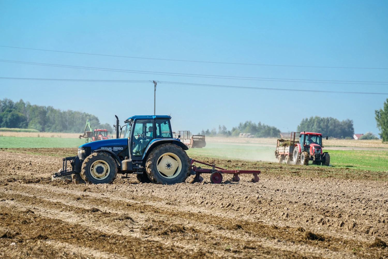 Rolnicy załamują ręce. "Najgorszy sezon od lat"