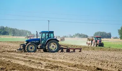 Rolnicy znowu liczą straty, a rząd nie robi nic