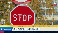 namysłów