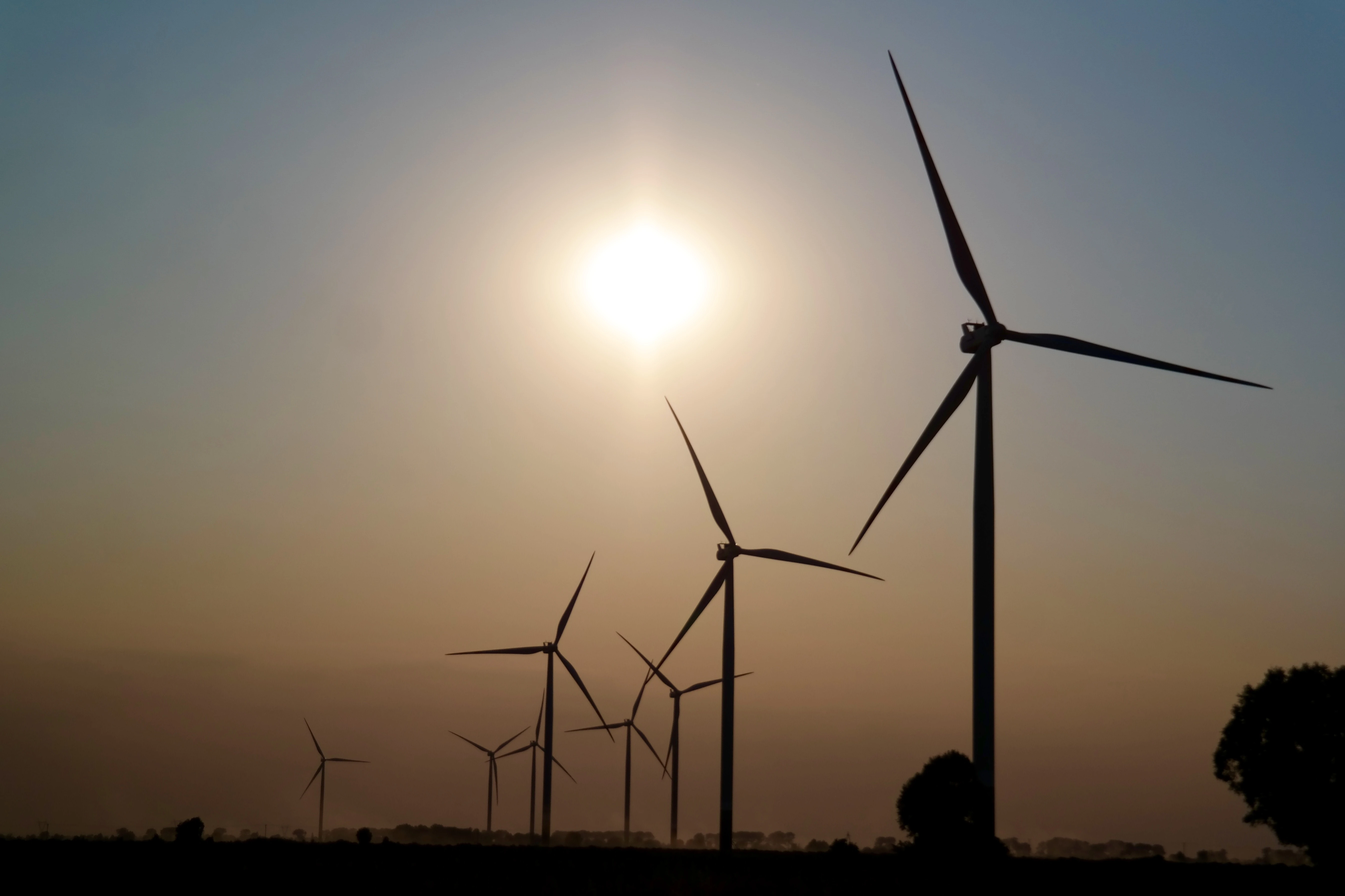 To tyle z szumnych zapowiedzi ws. farm wiatrowych. Kolejna porażka rządu Tuska!