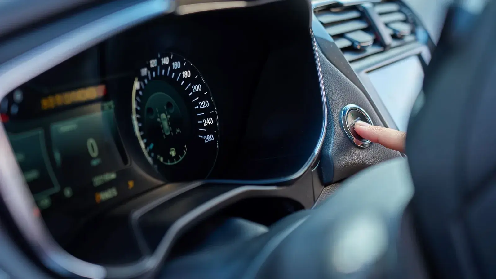 auto warta 3