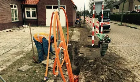 Lis w pobliżu włoskiej miejscowości Caponago – zwierzę przegryzło kabel światłowodowy, odcinając miasteczko od internetu.