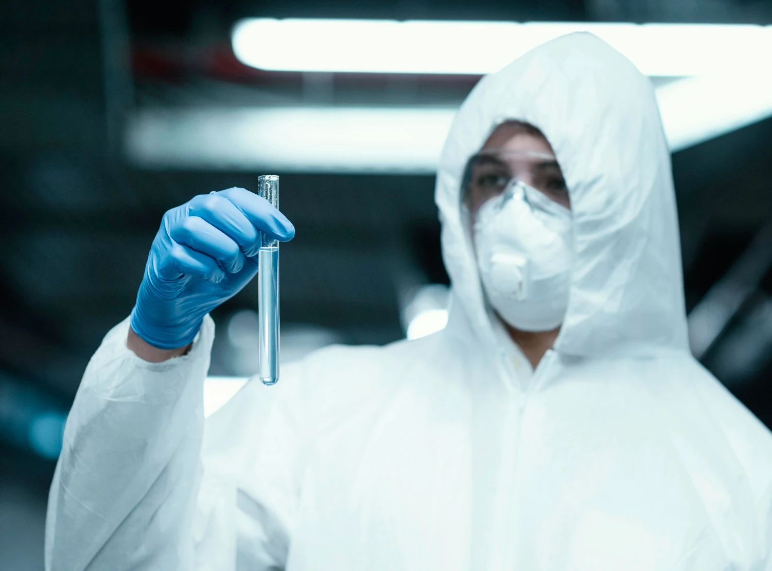 Groźna choroba zaatakowała w Niemczech! Ogniska tuż przy granicy z Polską