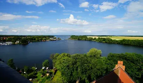 piekny-widok-na-morze-w-otoczeniu-drzew-i-pola-w-pochmurnym-swietle-dziennym.webp
