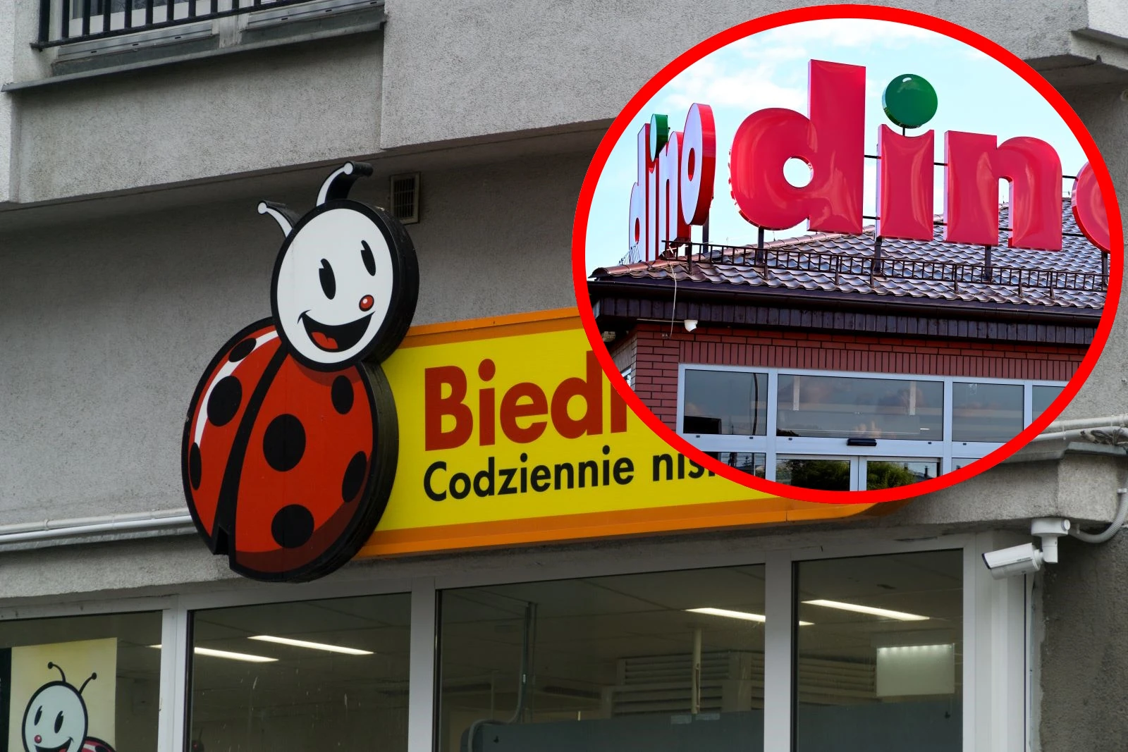 Biedronka buduje imperium, ale Dino kontratakuje. Polacy zyskają na tej wojnie cenowej?