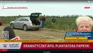 Zrzut ekranu (65).webp